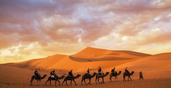 Rajasthan