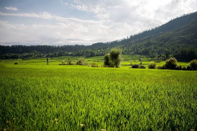 lolab_valley