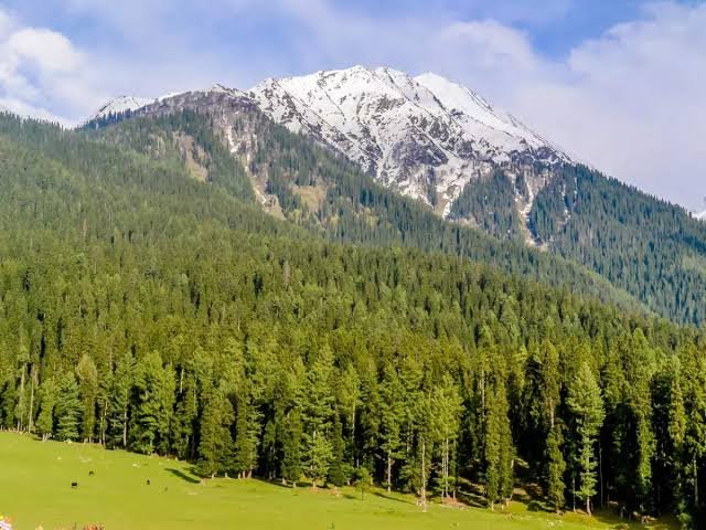 yusmarg
