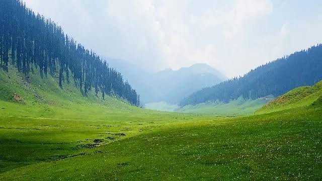bangus_valley